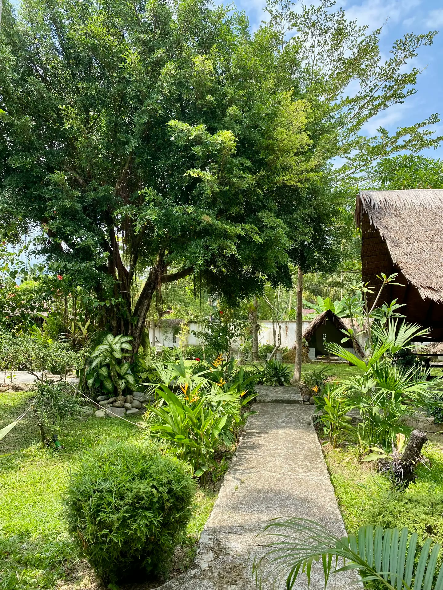 Garden path through tropical plants leading to the bungalows at Villa Paradise guest house in Bukit Lawang, North Sumatra
