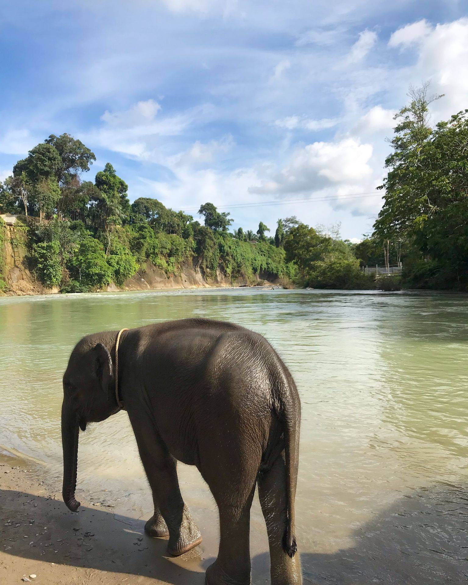 Tangkahan