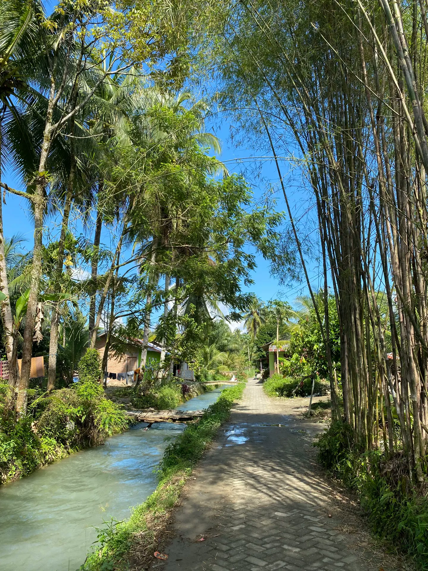 Village lane beside a stream lined with bamboo and palm trees at Villa Paradise guest house in Bukit Lawang, North Sumatra