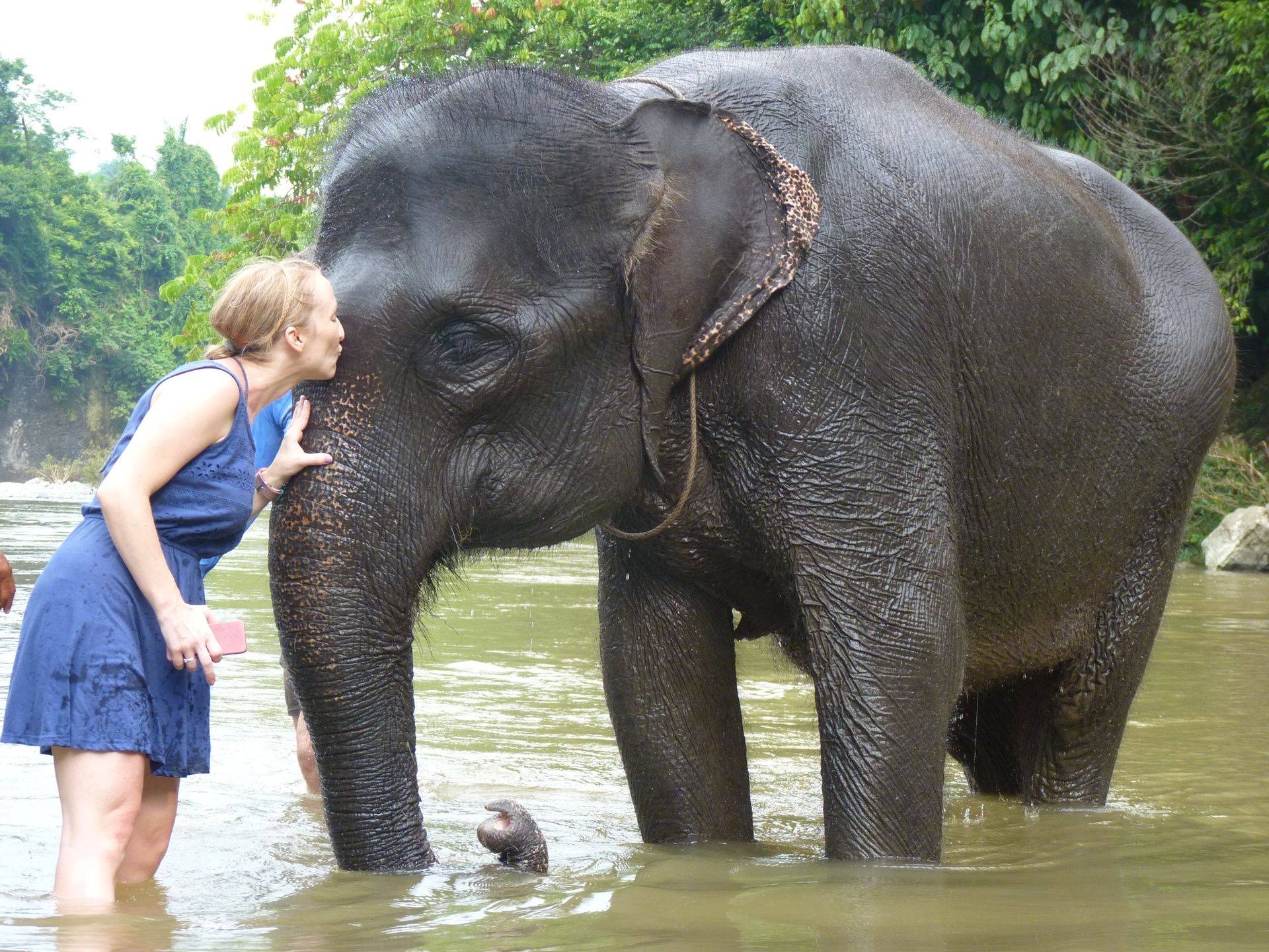 Traveller greeting a rescued Sumatran elephant during the river bath in Tangkahan