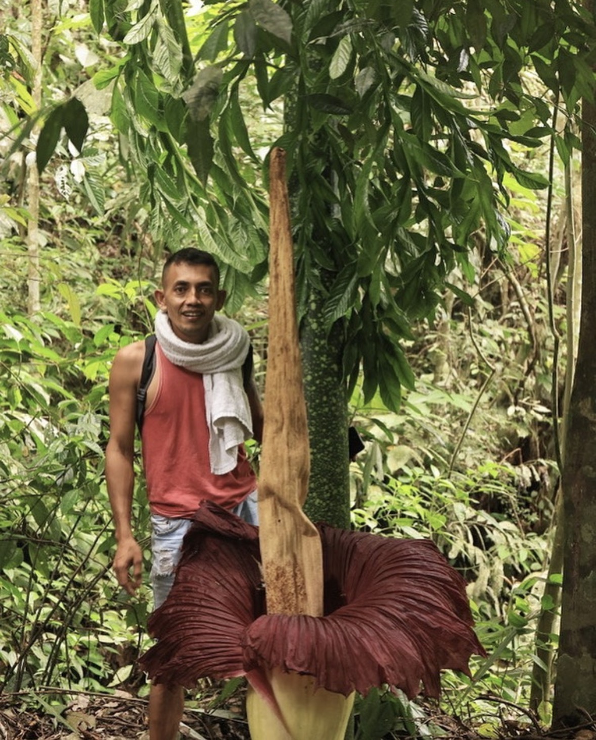 Haidir, founder of Sumatra Paradise, in the rainforest near Bukit Lawang